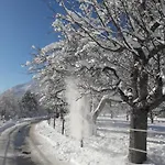 Garni Loewen Silz