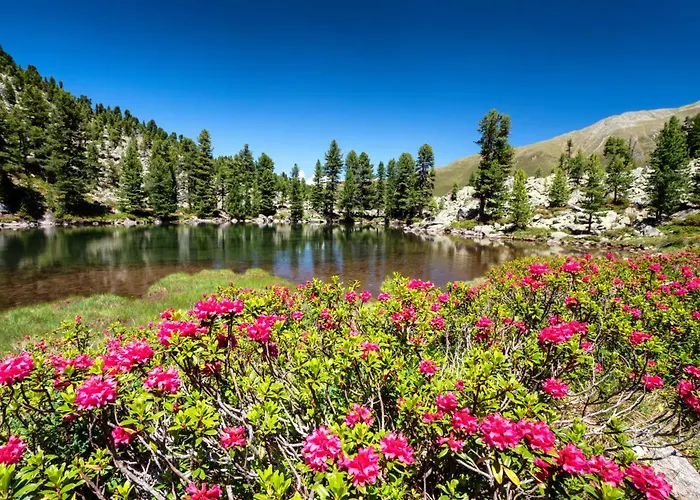 贾尼络温酒店 酒店 2*