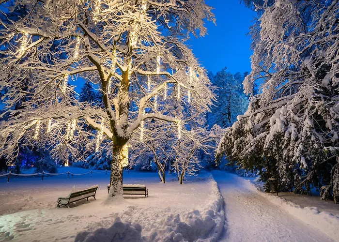 贾尼络温酒店 2* 锡尔茨