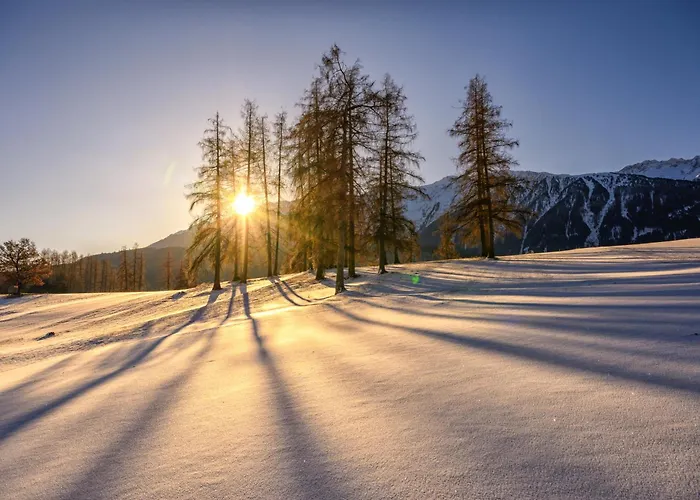 贾尼络温酒店 酒店 锡尔茨