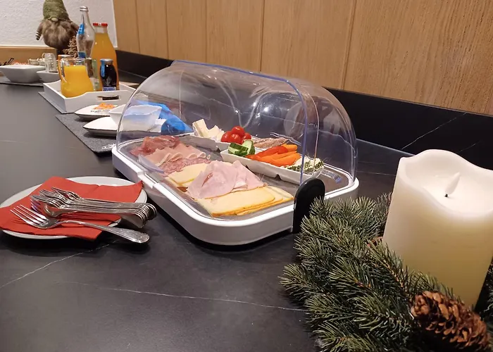 酒店 贾尼络温酒店 锡尔茨