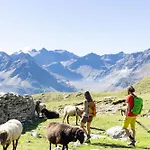 Garni Loewen فندق Silz